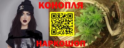 соль ск Будённовск