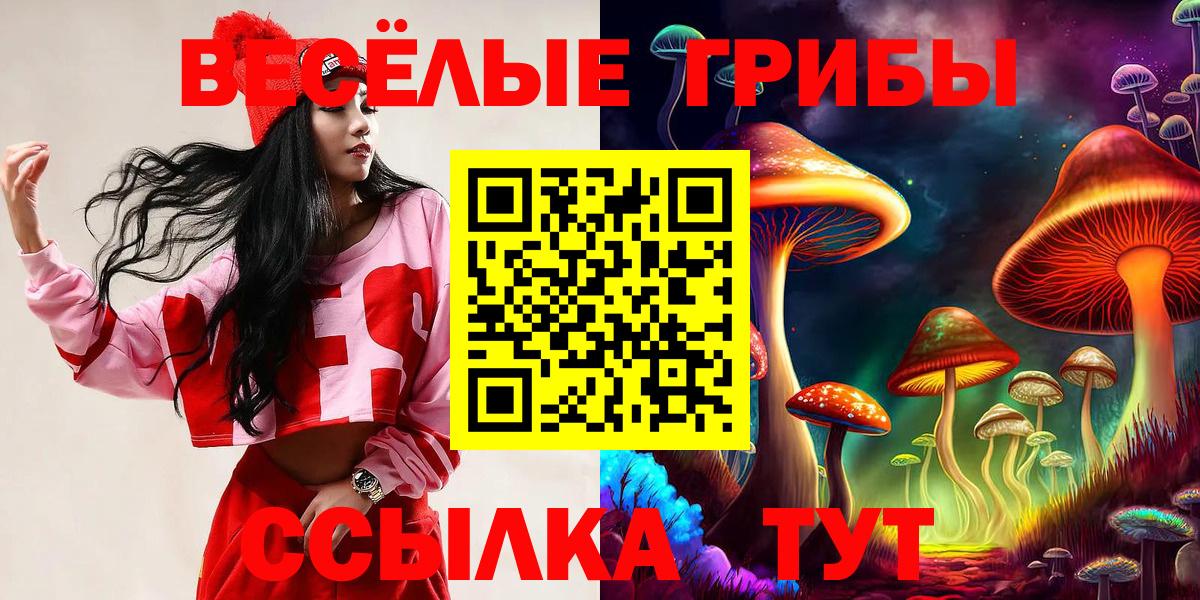 Псилоцибиновые грибы мицелий Крымск