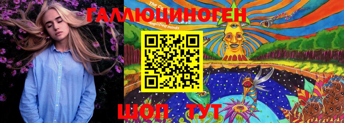 дарнет шоп  Галлюциногенные грибы MAGIC MUSHROOMS  Вход с VPN  Крымск  Галлюциногенные грибы Psilocybe 